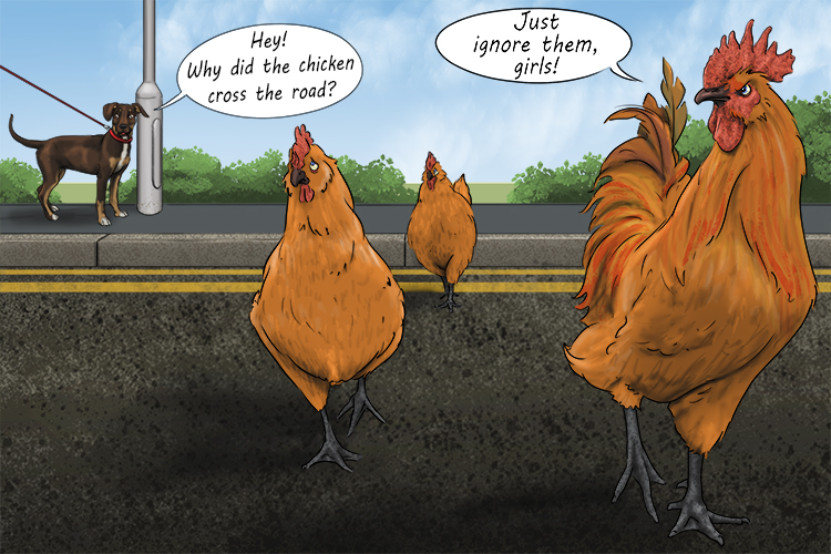 When they cross the road, chickens don't appreciate cruel or sarcastic (cruzar) comments.